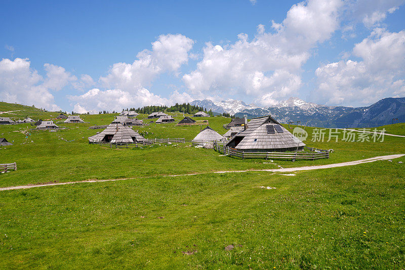 Velika planina，欧洲斯洛文尼亚的大牧场高原，有很多小屋，一些雪，藏红花和多云的天空。